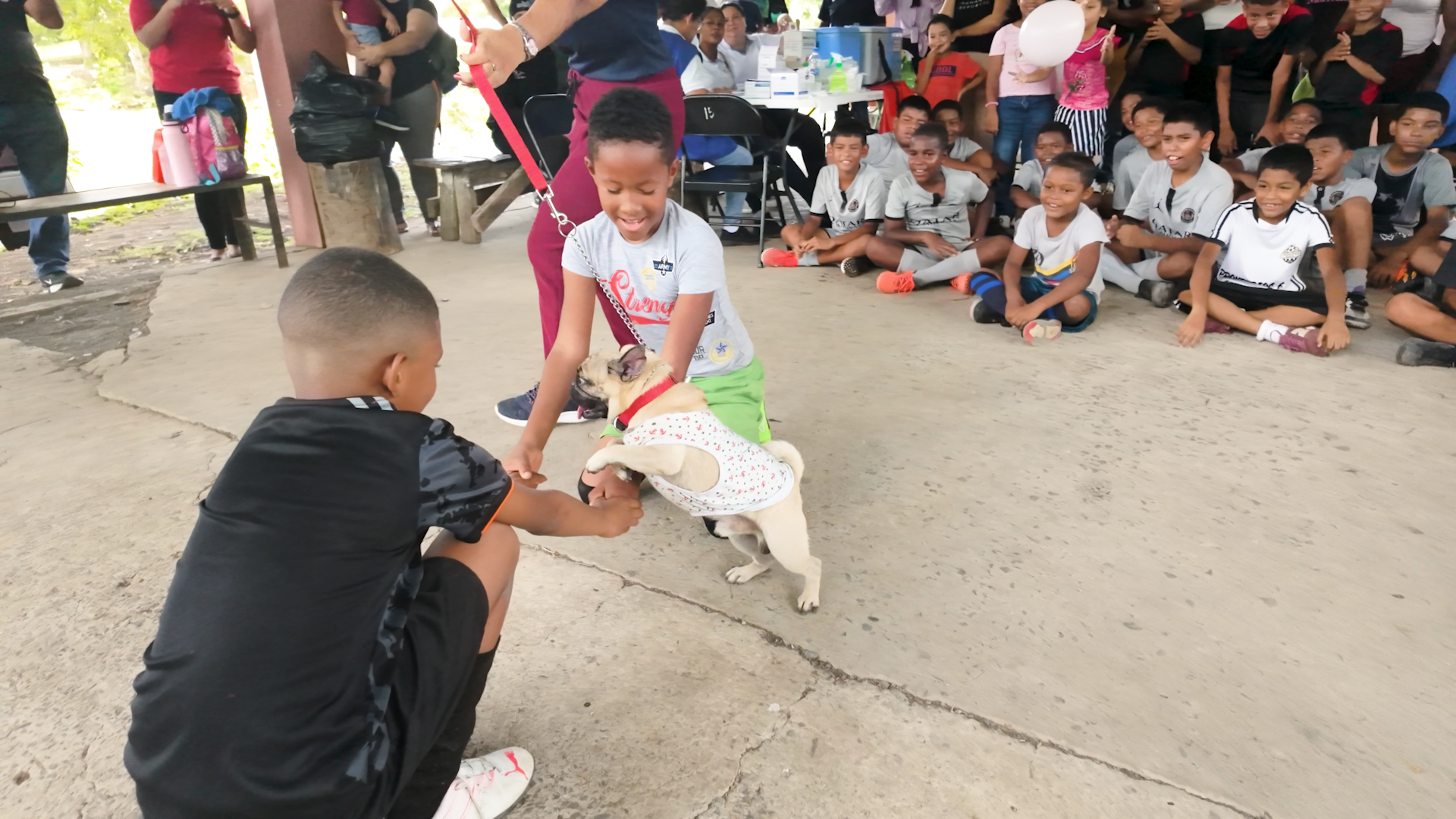 Actividad con mascotas